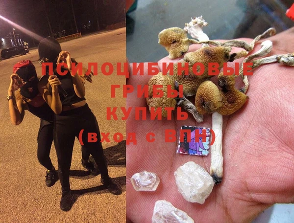 ALPHA-PVP Бородино