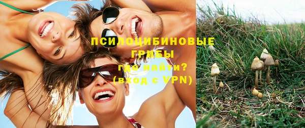 молекула духа Бронницы