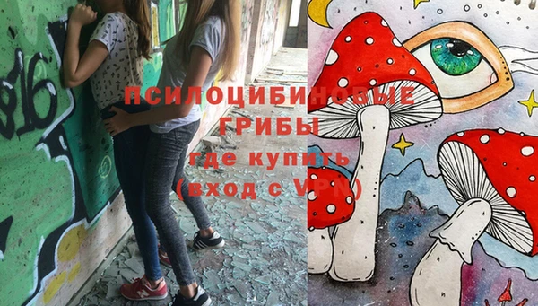 молекула духа Бронницы
