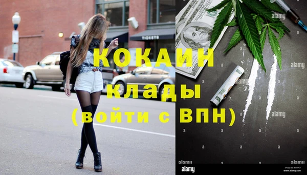молекула духа Бронницы