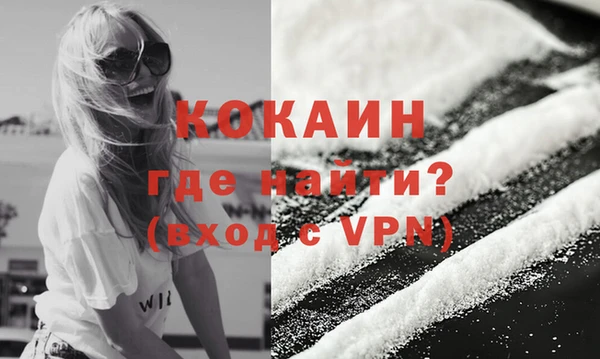 молекула духа Бронницы