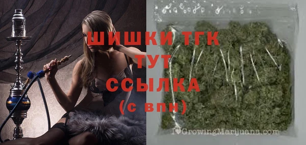 молекула духа Бронницы