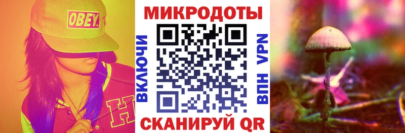 ссылка на мегу ССЫЛКА  Северодвинск  Псилоцибиновые грибы прущие грибы 